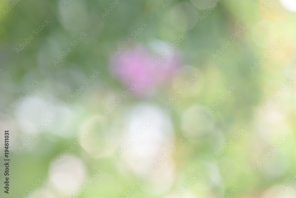 Colorful blur abstract background in garden, Background texture