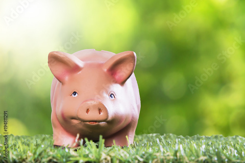 Piggy bank on grass