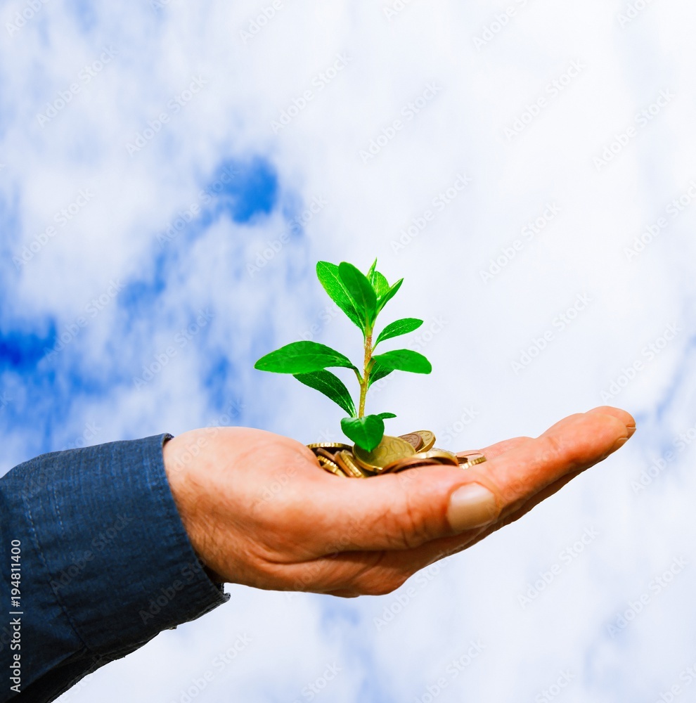 hand with plant and coins. business concept