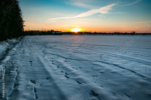 Animal tracks in snowy field in sunset