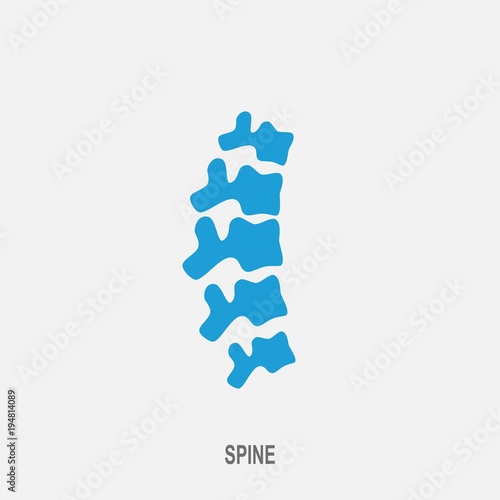 Spine vector icon. Spine diagnostics and therapy symbol