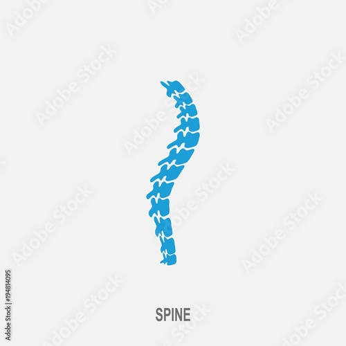 Spine vector icon. Spine diagnostics and therapy symbol