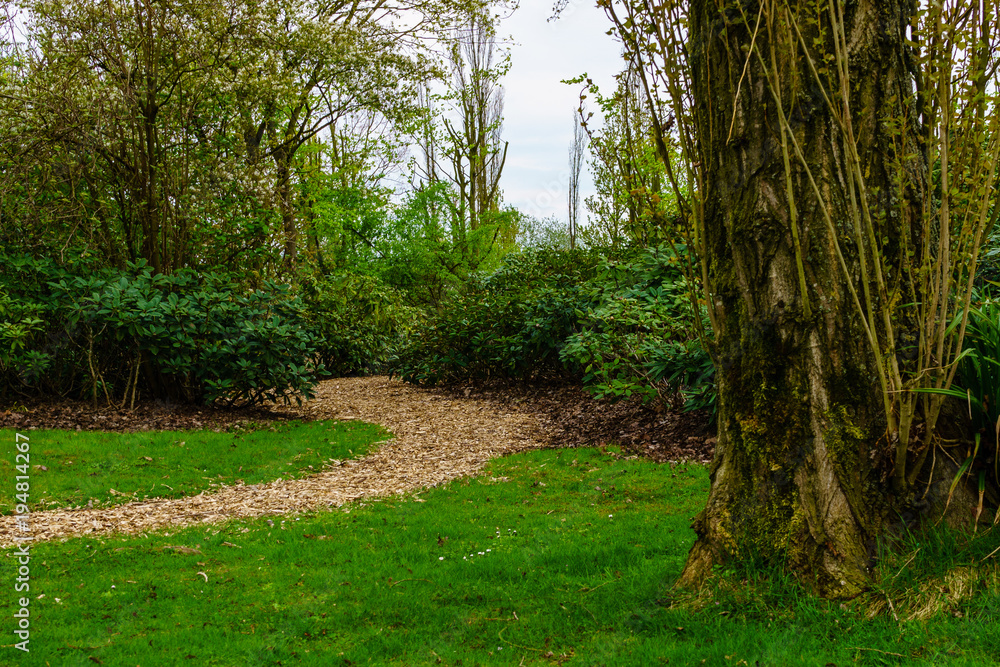 Fototapeta premium green park in gelsenkirchen nordstern