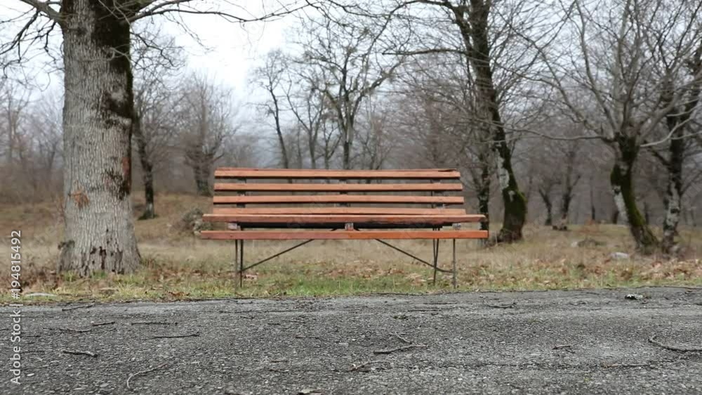 Slider shot. Empty bench at park near pond by foggy day, minimalistic cold season scene. bench at the lake in the fog in the forest. Bench near lake with fog. Azerbaijan Nature. Caucasus Slider shot. Empty bench at park near pond by foggy day, minimalistic cold season scene. bench at the lake in the fog in the forest. Bench near lake with fog. Azerbaijan Nature. Caucasus