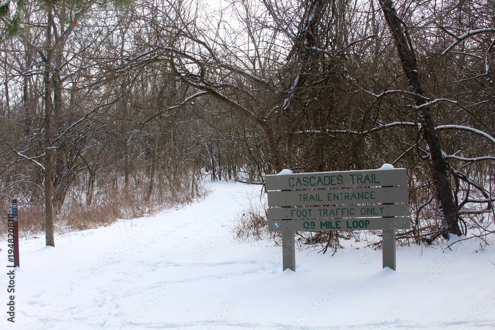 The beginning of the snow covered trail in the forest. The beginning of the snow covered trail in the forest.