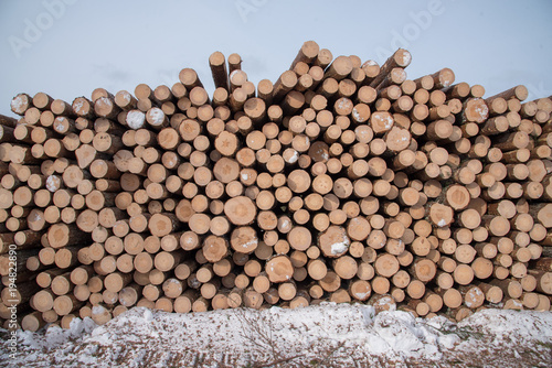 Timber in piles beside a road in a forest in Sweden