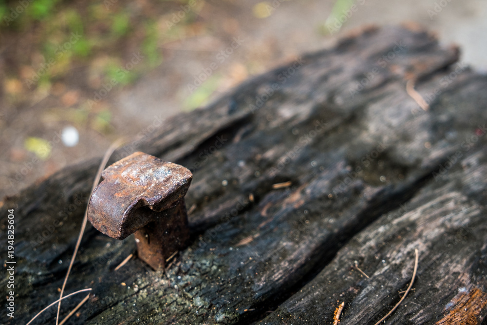 The old railroad tie with old nail in morning sun The old railroad tie with old nail in morning sun
