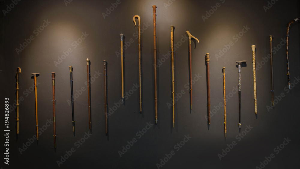 elegant Set of walking sticks and crutches. Telescopic metal canes, wooden cane with additional support, elbow crutch. Medical devices for help accident people