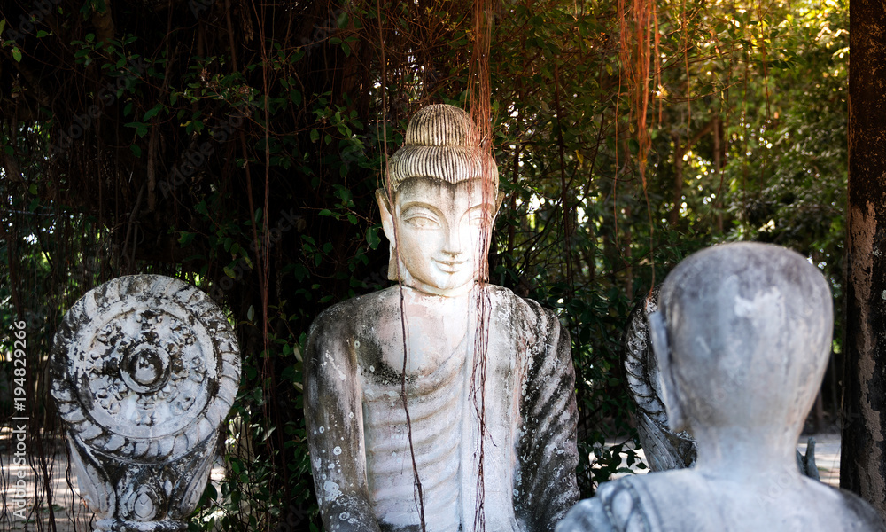 White Buddha statue with black stain under the Banyan tree with shadows and sunlight.The monastery is place of religious importance and public for general people either Thai and foreign visitors. White Buddha statue with black stain under the Banyan tree with shadows and sunlight.The monastery is place of religious importance and public for general people either Thai and foreign visitors.