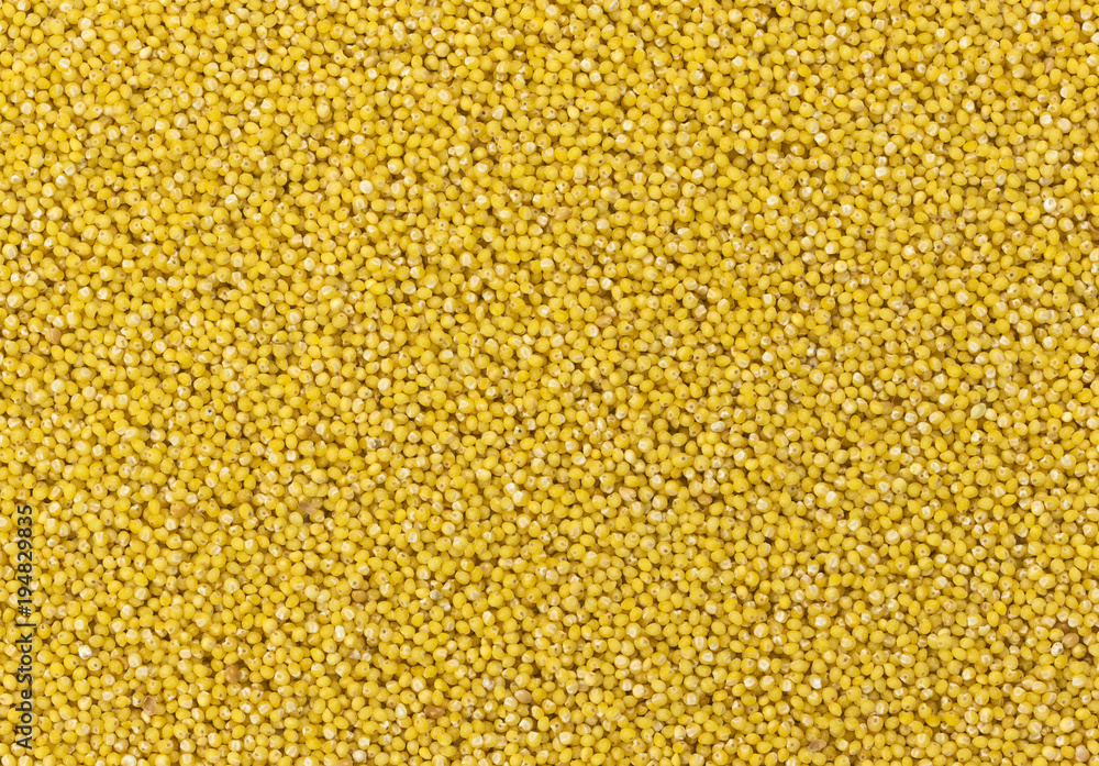 Millet grain texture Millet grain texture