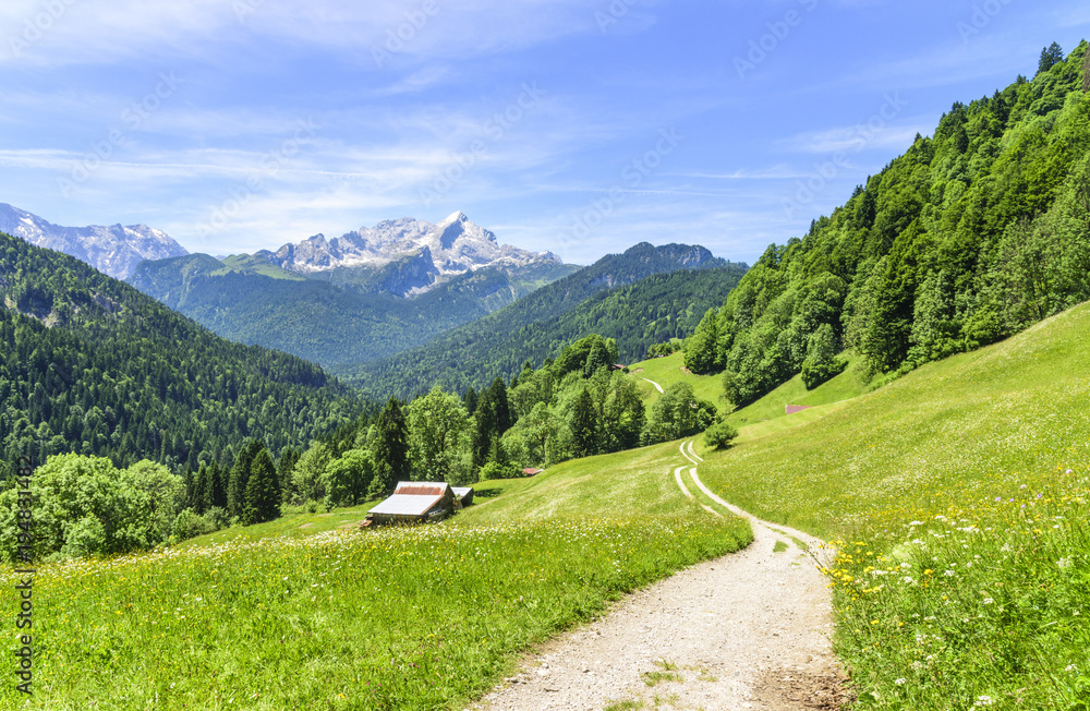 Frühsommer in den Bergen Oberbayerns