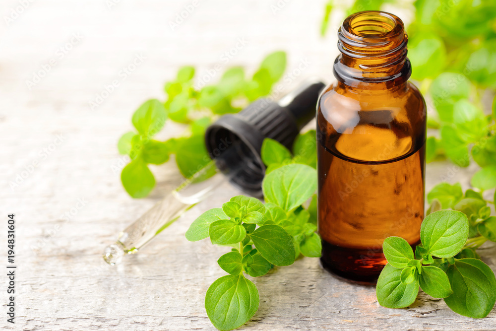 Oregano essential oil and fresh oregano on the wooden board Oregano essential oil and fresh oregano on the wooden board