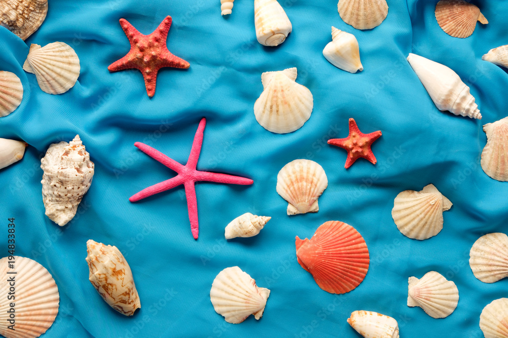 seashells composition on blue textile background seashells composition on blue textile background
