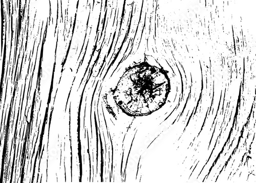 Realistic wooden texture background. Grunge wood pattern. Monochrome textured bark log tree. Vector illustration backdrop. Vintage graphic board. Dirty rough pine board. Black white template.