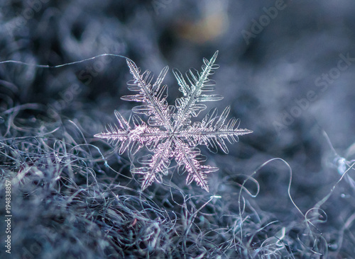 snowman,snow flakes,crystal texture,crystal pattern,crystal background,colorful crystal,snow symbol,physics background,science background,chemistry background,chemistry,materials science,microscope cl