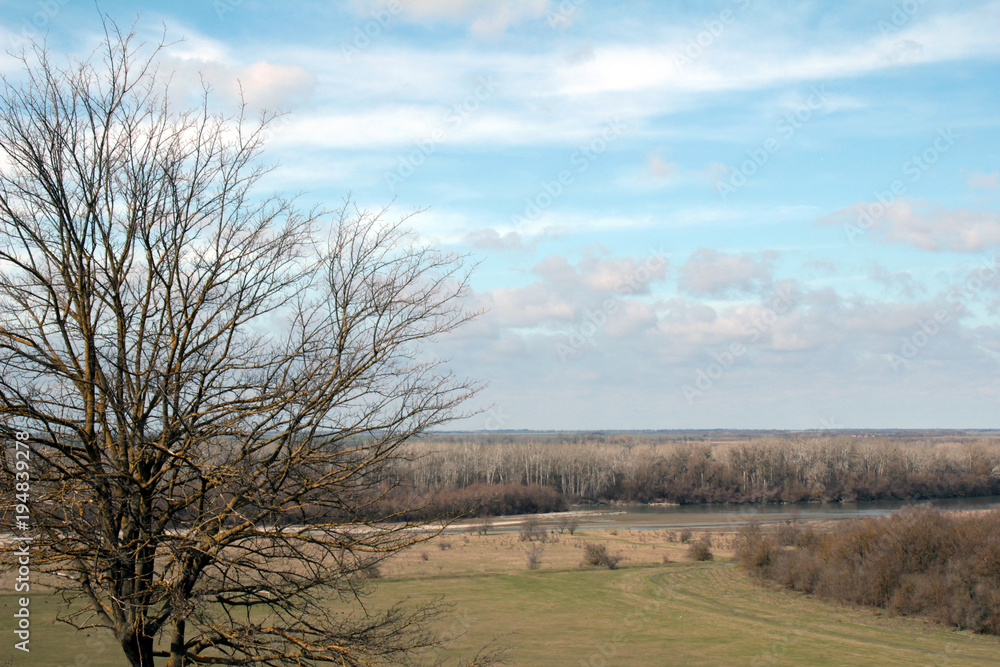 Fototapeta premium Beautiful scenery with forest and river and village