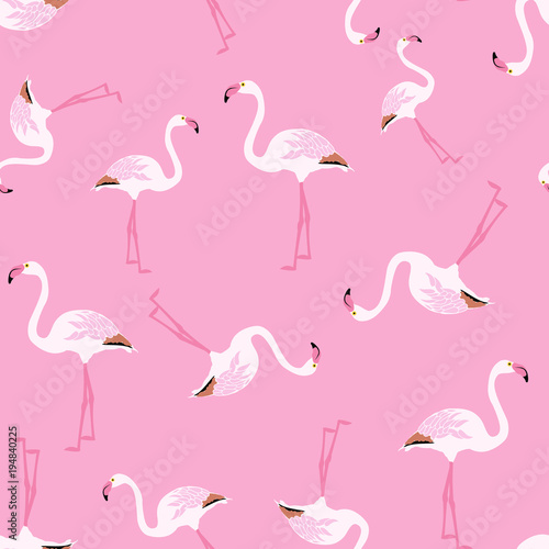 seamless pattern flamingo bird, vector illustration on pink background