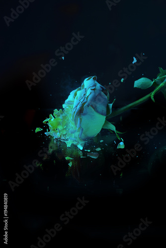 Cryotherapy capsule in cosmetology clinic. Cryo sauna for whole body cryotherapy treatment.