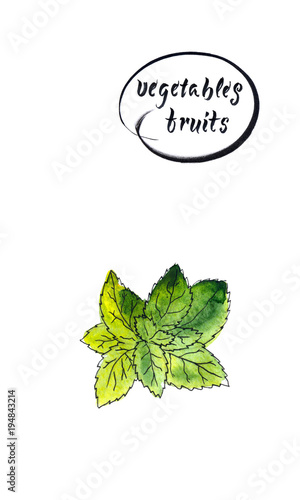 Green basil leaves