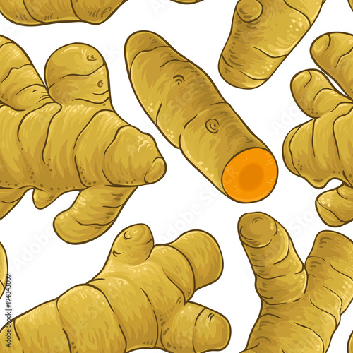 turmeric vector pattern