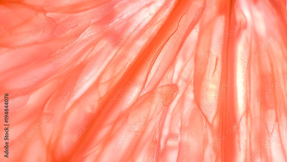 Abstract pink macro texture background