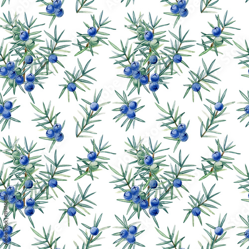 Watercolor hand painted juniper seamless pattern. Can be used as print,  wrappong paper, invitation, greeting card, packaging design, textile, fabric. photo