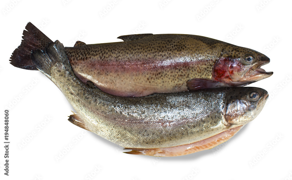 Two fresh trout on white isolated background. Two fresh trout on white isolated background.