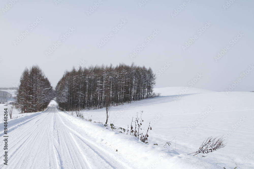 雪で覆われた冬の北海道の道 雪で覆われた冬の北海道の道