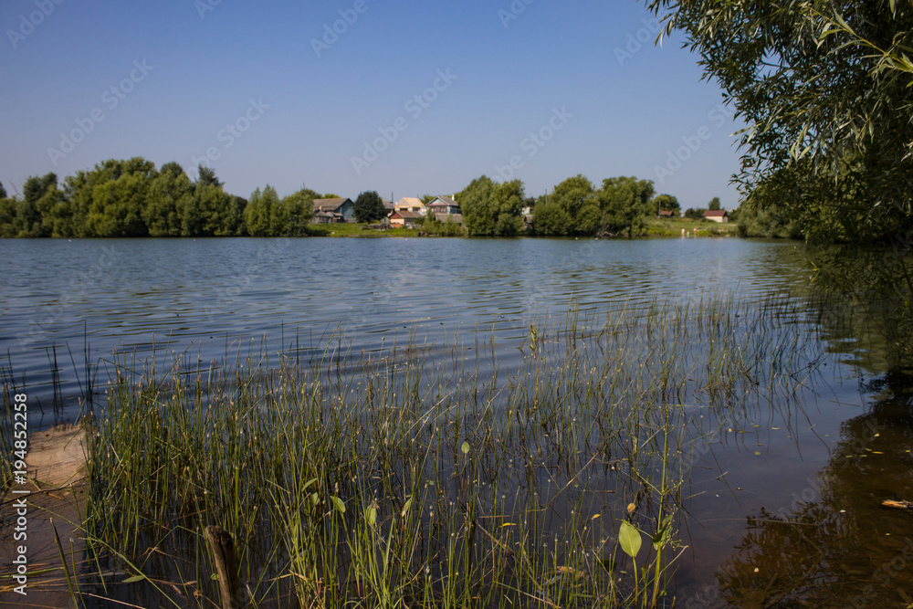 Lake views in the frame of the trees