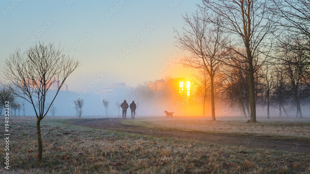 Two men in the early foggy morning walk their dogs. Male silhouettes in a strong morning fog. Rays of the sun in the reflection of the windows of buildings cut through a thick fog