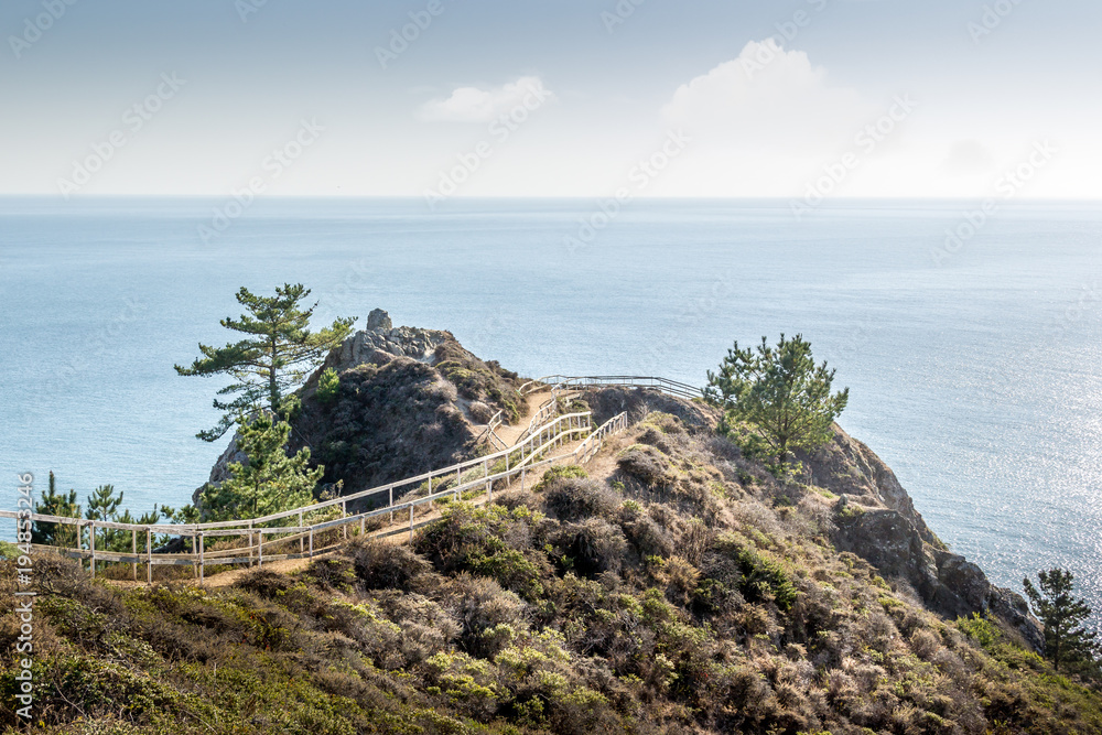 Naklejka premium Scenic Pacific coast