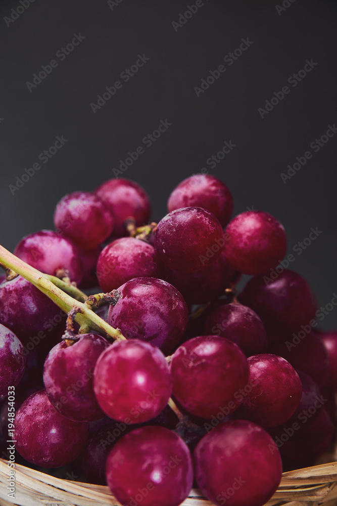 Bunches of purple and red grapes in a wicker basket on a dark background. The harvest of unwashed grapes in a basket. Ecologically bio clean organic grapes from the plantation are collected manually.