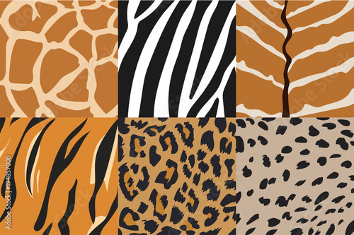 Vector Illustration of tiger, zebra, giraffe, cheetah, nyala  and leopard pattern. Animal print pattern.