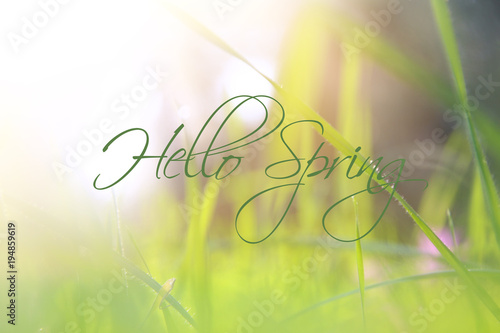 low angle view image of fresh grass. freedom and renewal concept with spring text.