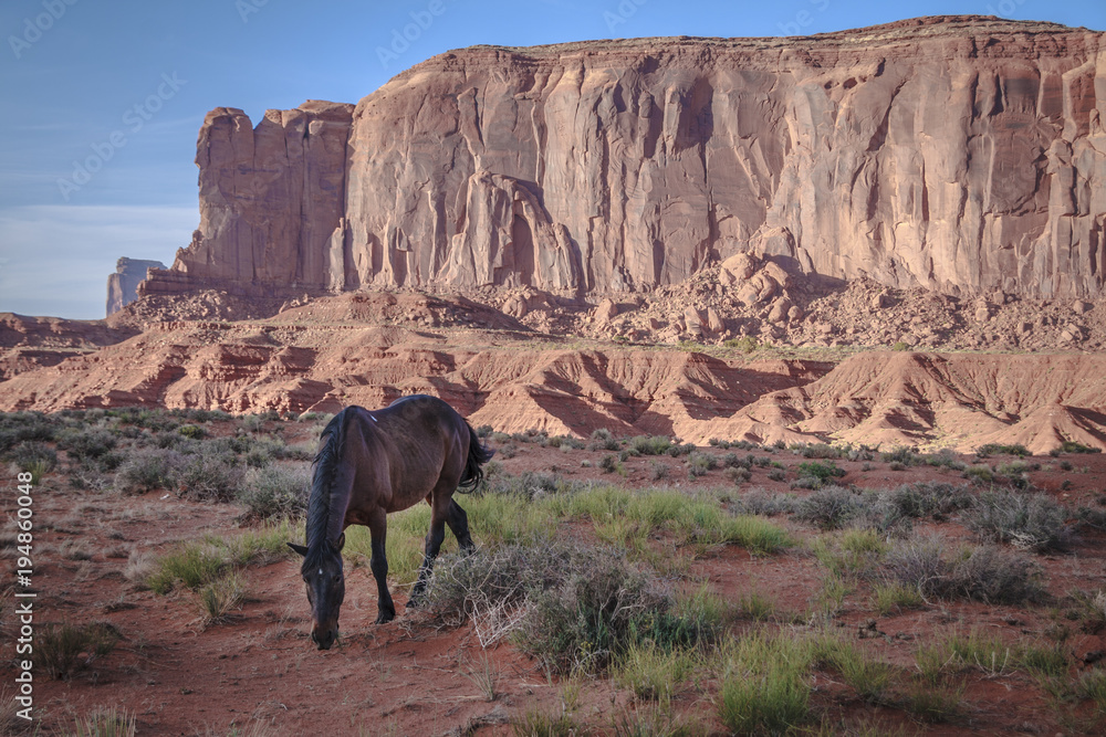 Young horse graze with the natural beauty of Monument Valley Utah in the background.