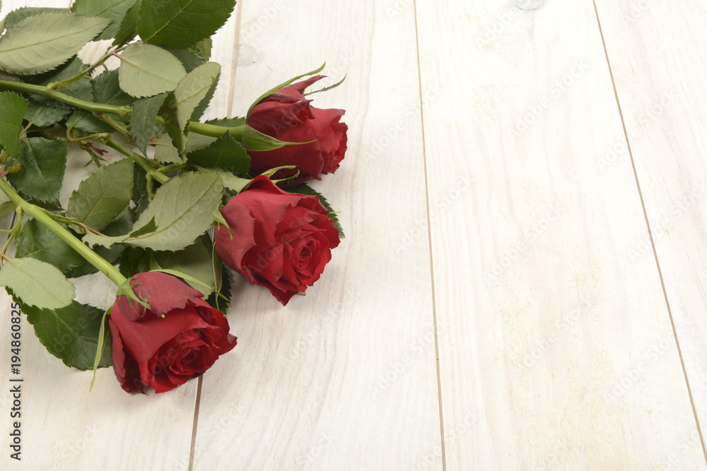 Rosas de color rojo sobre fondo de madera blanca Stock Photo | Adobe Stock