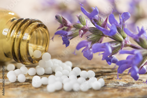 alternative medicine with herbal and homeopathic pills photo