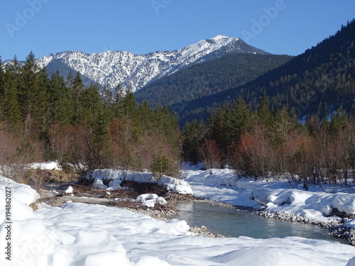 Nadelwald im Isartal
 photo