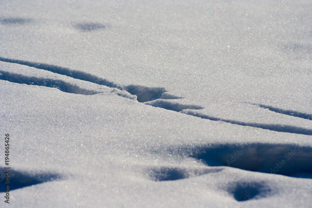 traces on snow background traces on snow background