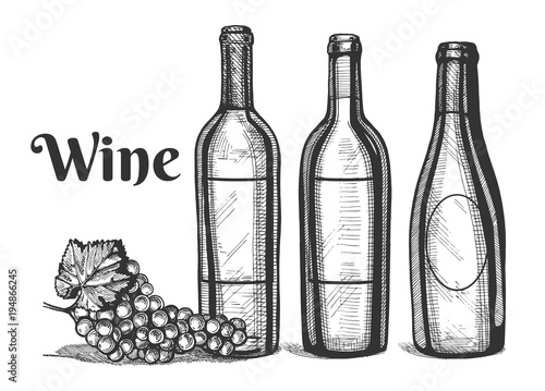 a wine bottles and grapes bunch