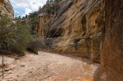 Willis Creek Slot Canyon 11 photo