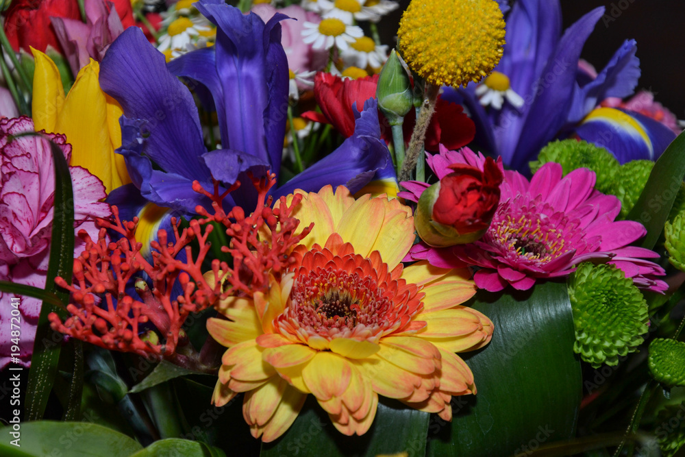 Colorful flower Colorful flower