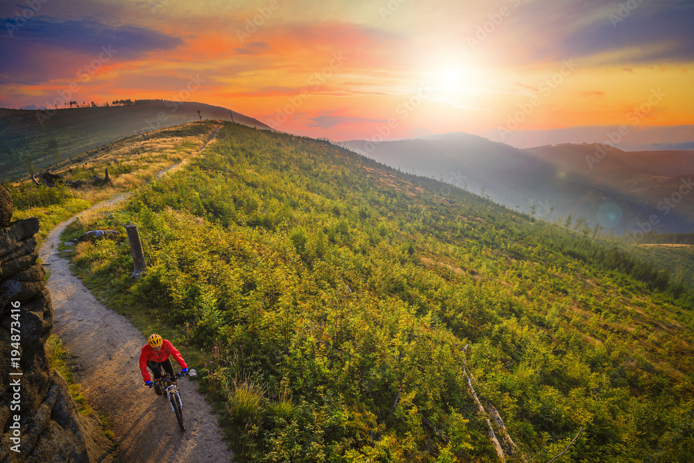 Fototapeta premium Mountain biking cycling at sunset in summer mountains forest landscape. Woman cycling MTB flow trail track. Outdoor sport activity.