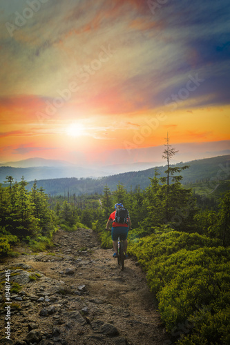 Mountain biker riding at sunset on bike in summer mountains forest landscape. Man cycling MTB flow trail track. Outdoor sport activity. © Gorilla