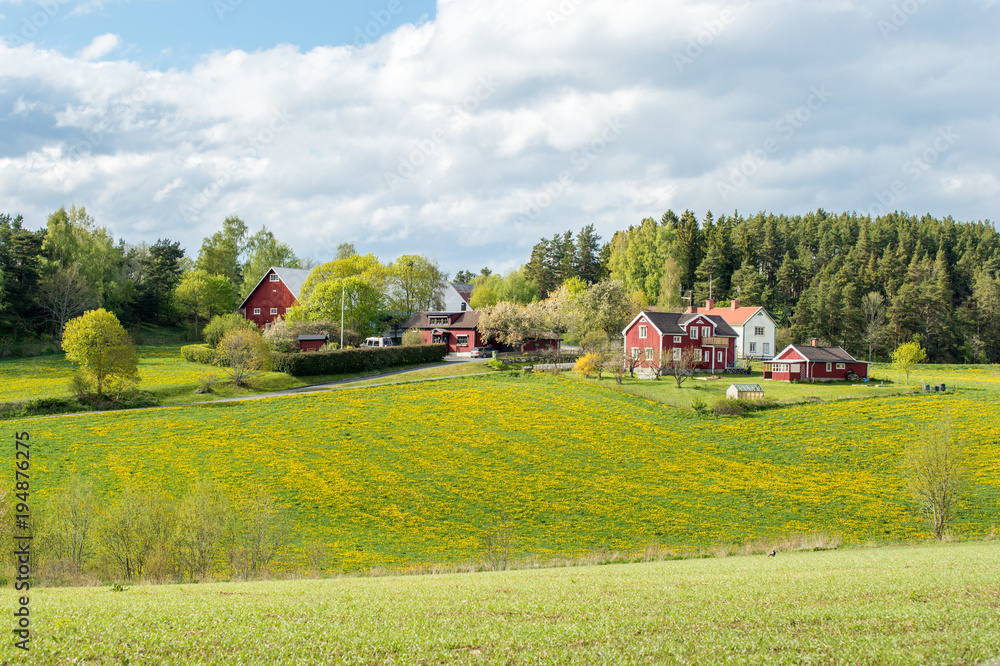 Spring in the countryside of Småland in Sweden