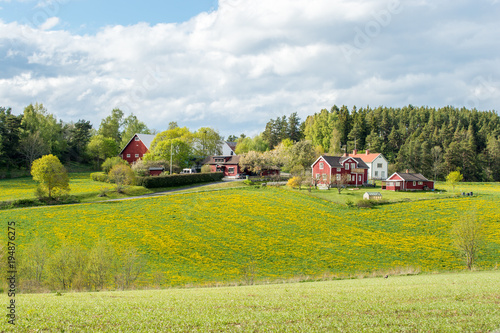 Spring in the countryside of Småland in Sweden