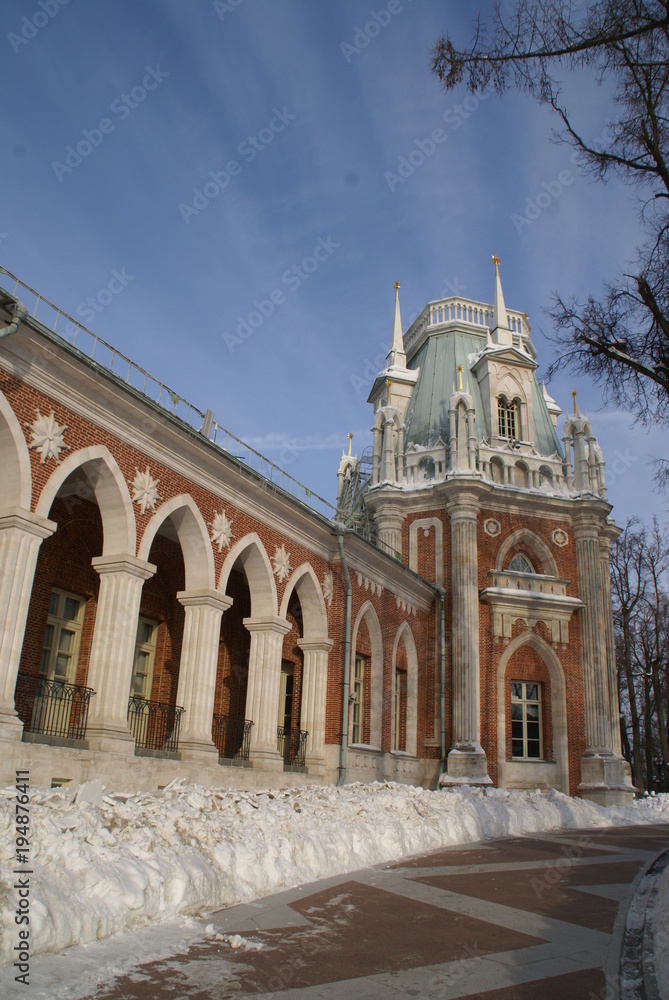 Fototapeta premium Grand Palace in Tsaritsyno reserve, Moscow, Russia. The residence of Catherine the great