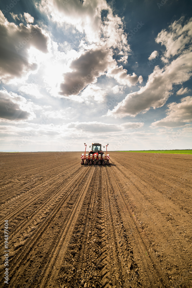 Farmer seeding, sowing crops at field. Sowing is the process of planting seeds in the ground as part of the early spring time agricultural activities. Farmer seeding, sowing crops at field. Sowing is the process of planting seeds in the ground as part of the early spring time agricultural activities.