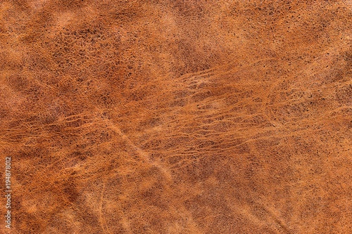 Принти на полотні vintage brown cracked Italian goatskin leather for background use