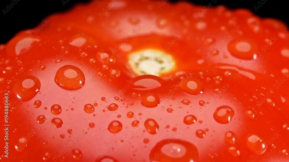 red tomato with water drops, slowly rotating on black background, close up red tomato with water drops, slowly rotating on black background, close up